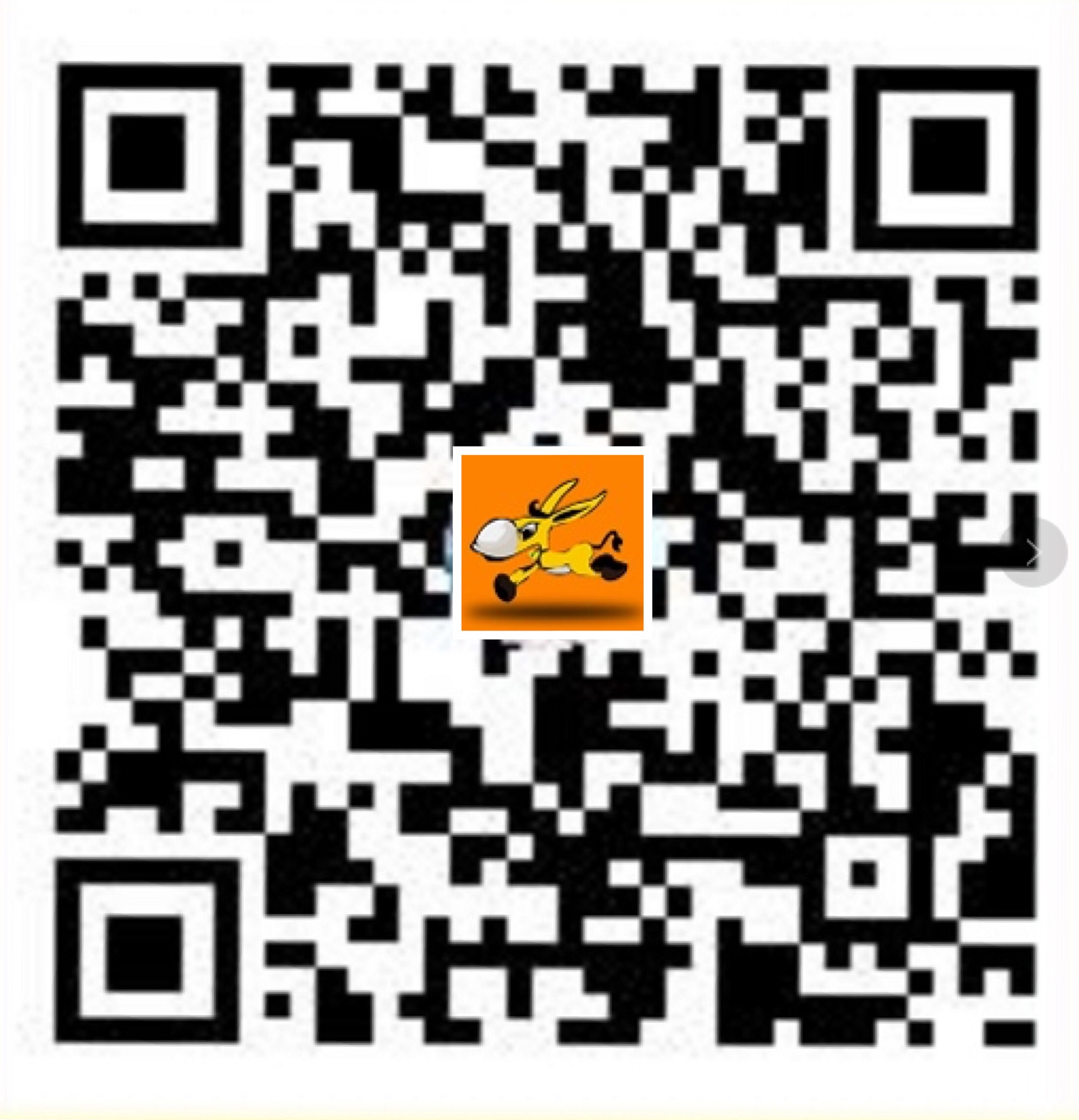 骑驴游（广州）网络科技有限公司