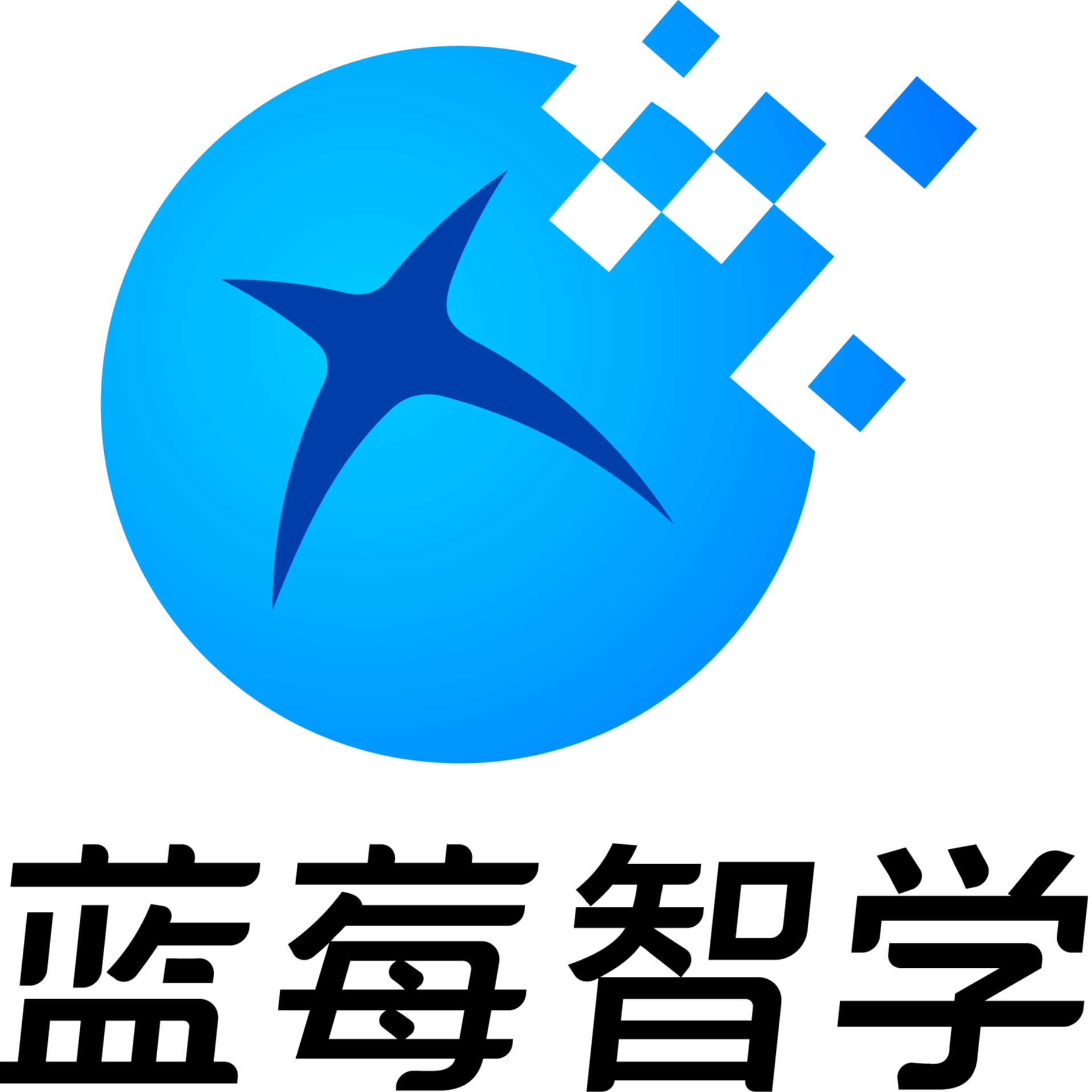 蓝莓智学（北京）科技有限公司